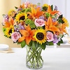 Buy Stunning Sunflowers Mixed Flowers