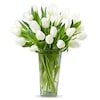 Buy 20 White Tulips Bunch