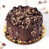 Buy Crunchy Chocolate Hazelnut Cake