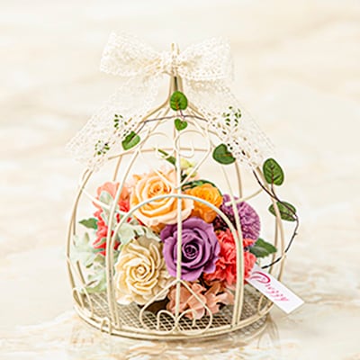 Bird Cage Beauty