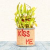 Buy Kiss Me Bamboo Plant