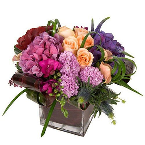 Buy Exotic blooms Arrangement