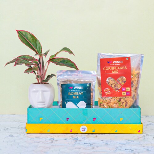 Buy Aglaonema Plant N Snacks Hamper
