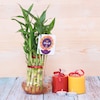 Buy Bamboo Plant and Fragrance Candle Combo
