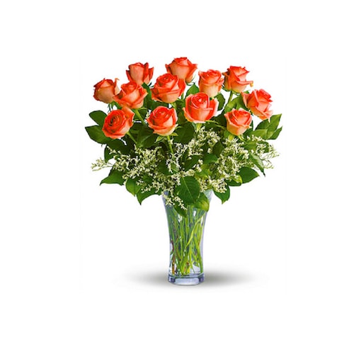 Buy 12 Long Stemmed Orange Roses