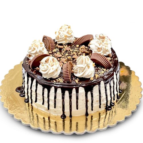 Buy Yummy Choco Oreo Cake