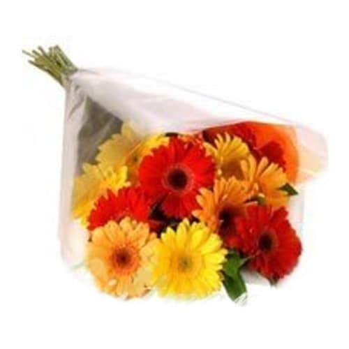 Buy Mixed Daisy Gerbera Bunch