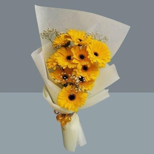 Buy Mixed Carnations Bouquet Surprise