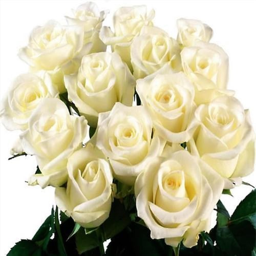 Buy Attractive White Blooms Bunch
