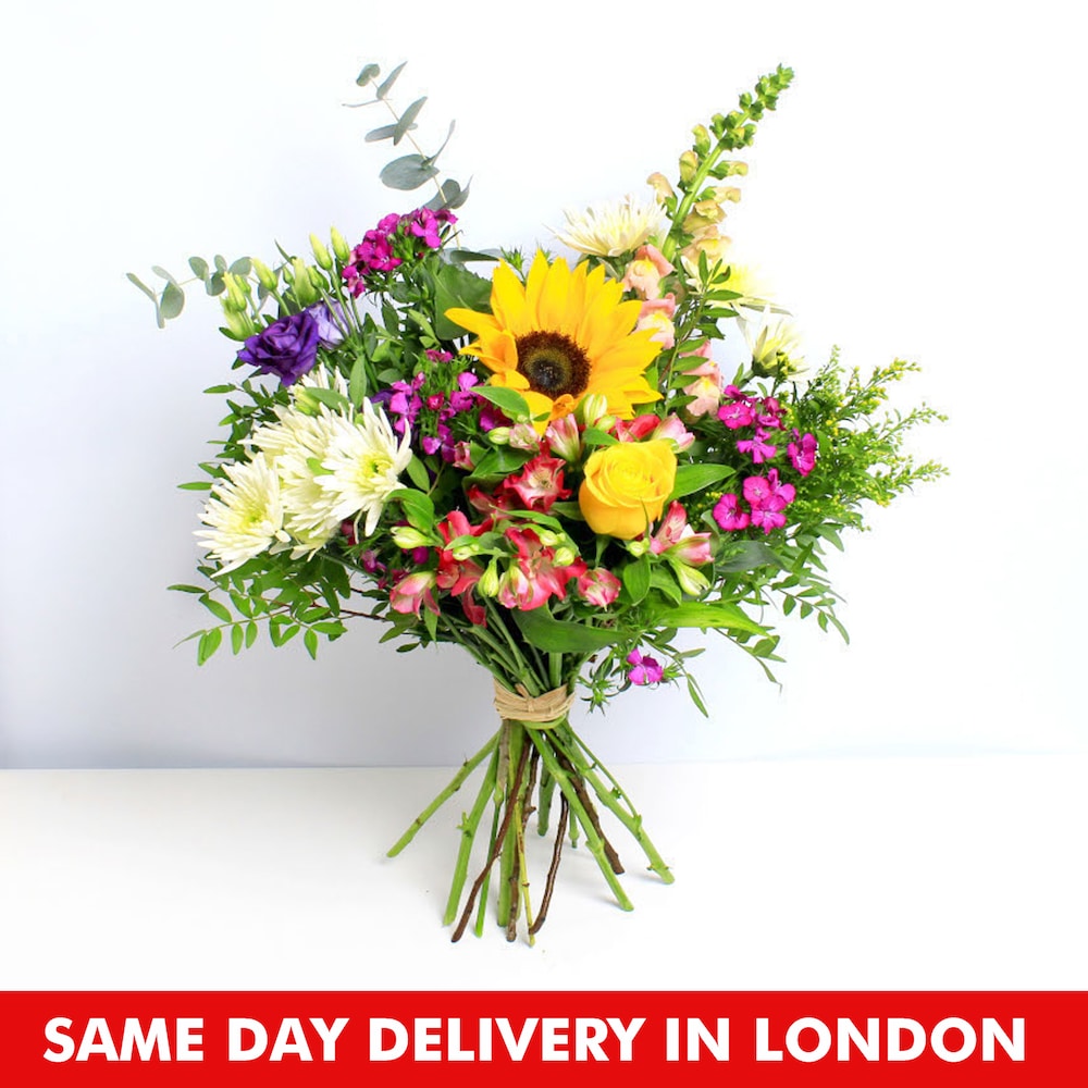 Best For Apology Winni