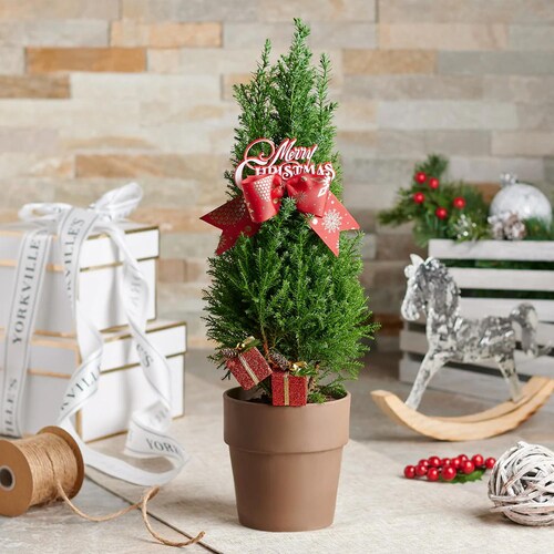 Buy Lovely Christmas Tree