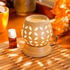 Buy Fragrance Brown Ball Diffuser