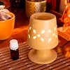 Buy Ceramic Electric Aroma Oil Diffuser