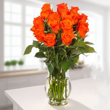 Magnificently Glowing Roses