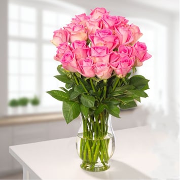 Wonderful Pink Roses