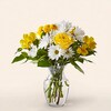 Buy Ray Of Sunshine Bouquet