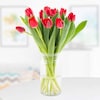 Buy Pristine Tulips Beauty