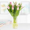 Buy Touchy Pink Tulips