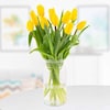 Buy Shine Yellow Tulips Bouquet