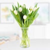 Buy Pearl White Tulips Bouquet
