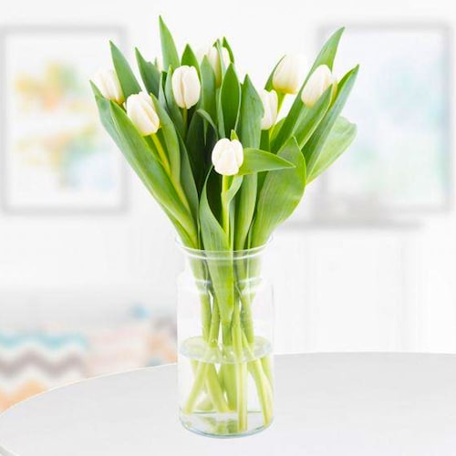 Buy Pearl White Tulips Bouquet
