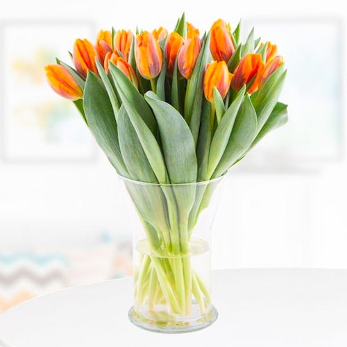 Buy Orange Tulip Wonders