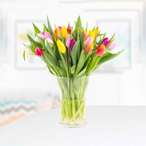 Buy Perfect Mixed Tulips