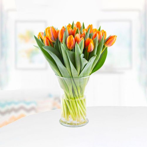 Buy Orange Tulips Magic