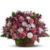 Buy Pretty Blooms Basket