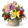 Buy Joyful Floral Basket