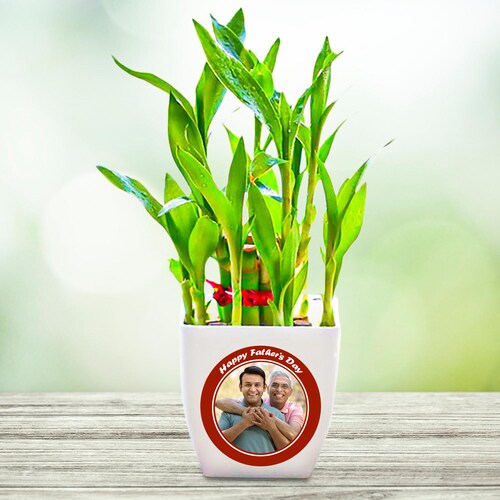 Buy Personalised Dad Bamboo Plant