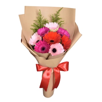 Mix Forever Gerbera