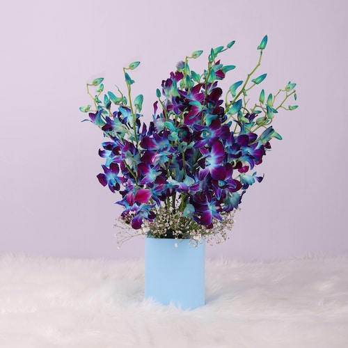 Buy Mesmerising Blue Orchids Vase