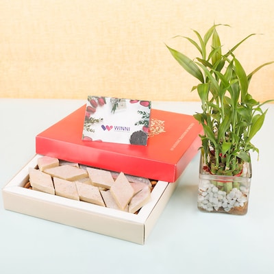 Kaju Katli With Small Lucky Bamboo