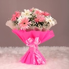 Blooming  Pink Gerbera