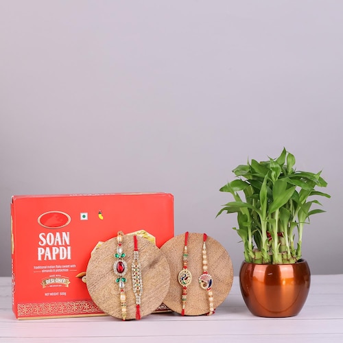 Buy Set Of 4 Designer Rakhi With Plants And Sweets Hamper