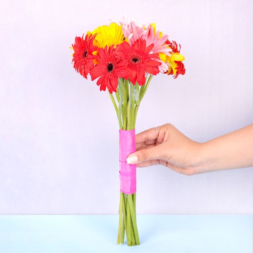 Buy 10 Mixed Colour Gerbera