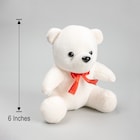 Small White Teddy Bear