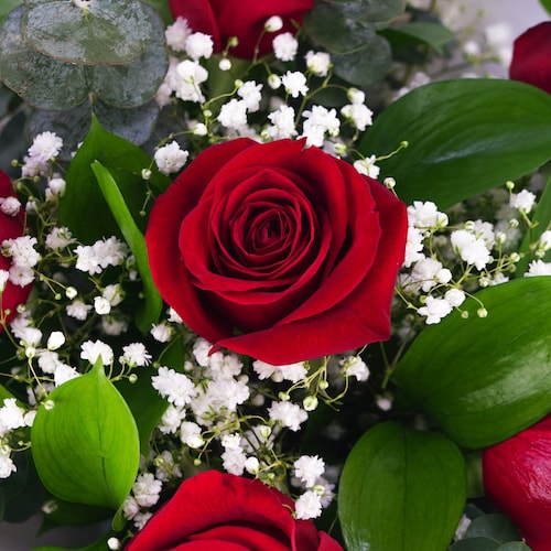 Buy 6 Red Roses Happy Birthday in Gold/silver Lettering W/ Bow Online in  India 