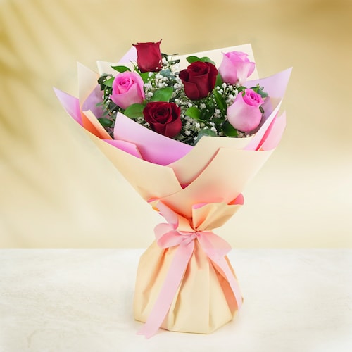 Buy Classic Pink and Red Roses