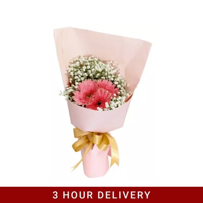 Everlasting Pink Gerbera