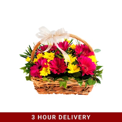 Original Flora Basket