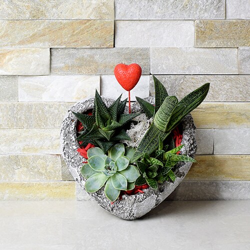 Buy This Heart Shaped Succulent Rock Garden