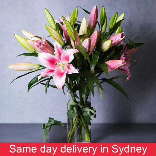 Buy Premium Fragrant Pink Oriental lilies