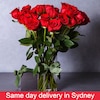 Buy Glory Red Roses