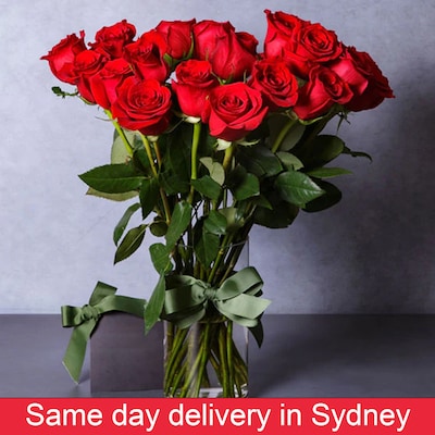 Glory Red Roses