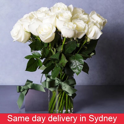 Beautiful White Cream Roses