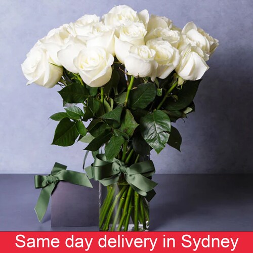 Buy Beautiful White Cream Roses