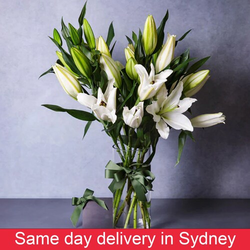 Buy Fragrant Oriental White Lilies