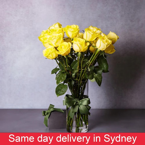 Buy Long Stemmed Yellow Roses